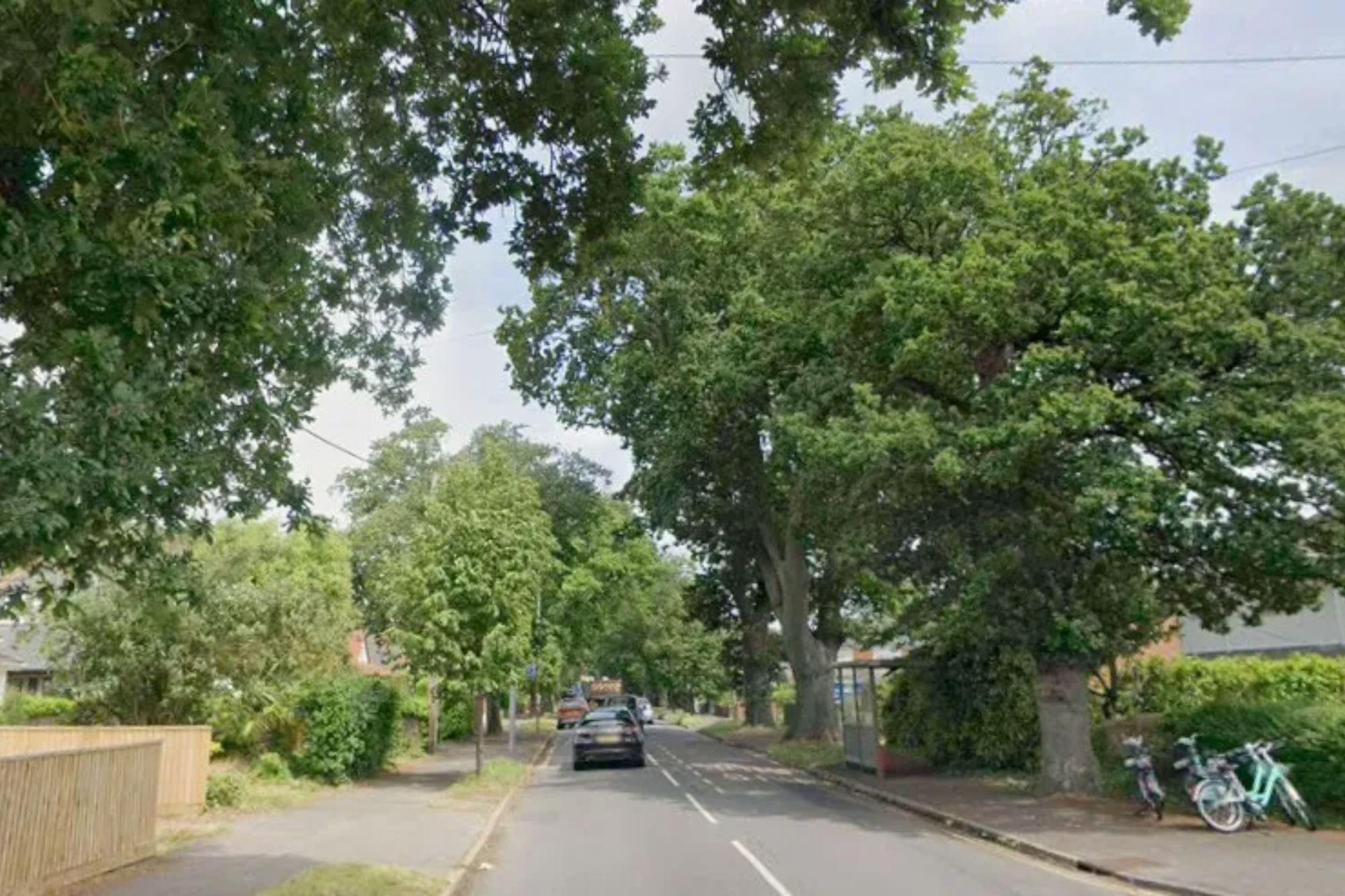 An image collage containing 1 images, Image 1 shows A street lined with trees, cars, and houses in Christchurch, Dorset