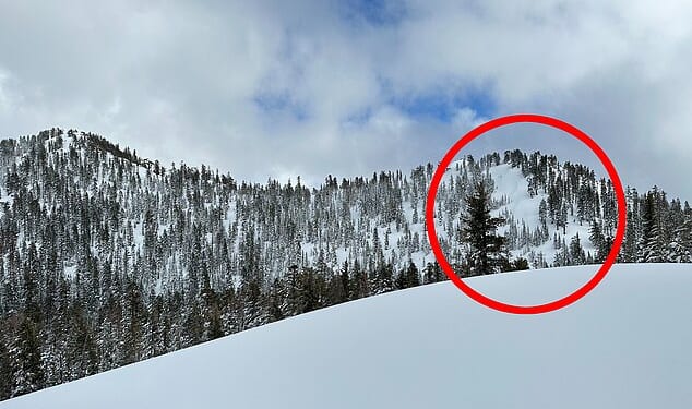 Perrys Peak at 8320ft. The site of the avalanche that occurred on Tuesday February 17, 2026