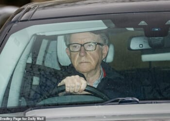 Now Peter Mandelson faces EU fraud probe over Epstein files: Brussels to probe claim ex-commissioner gave disgraced paedophile financier advanced notice of €500billion euro bailout