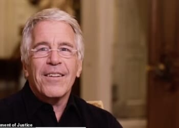 Jeffrey Epstein described himself as a 'tier one' sexual predator in a newly-revealed video showing the disgraced financier facing questions in a sit-down interview