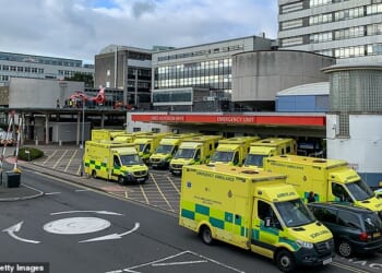 A report on the University Hospital of Wales portrays it as something akin to Lord Of The Flies, with a dysfunctional and chaotic workforce divided into hostile factions who repeatedly attack, abuse and assault rival colleagues