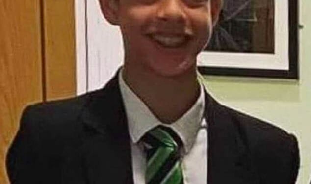 A sighting of schoolboy Noah Donohoe captured by CCTV cameras close to a leisure centre was apparently 'missed' by police in the 'critical' first 24 hours after he disappeared, an inquest has heard