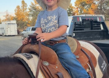 Oaklynn Rae Domer, three, passed away on Thursday after one of her family's horses fell on her and her mother Kelsie Domer