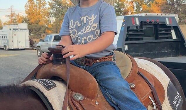 Oaklynn Rae Domer, three, passed away on Thursday after one of her family's horses fell on her and her mother Kelsie Domer