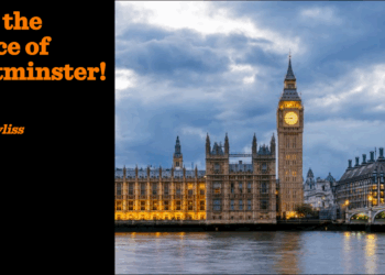 Save the Palace of Westminster! | Chris Bayliss