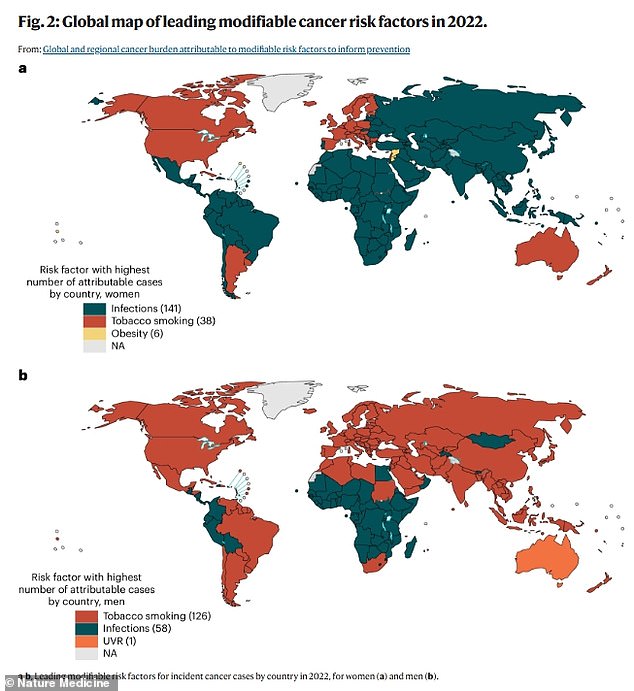 The above graph shows which specific risk factors were most prominent in each region, divided by sex