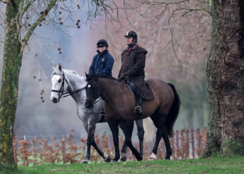 Scrutiny of Andrew puts pressure on British royals to change