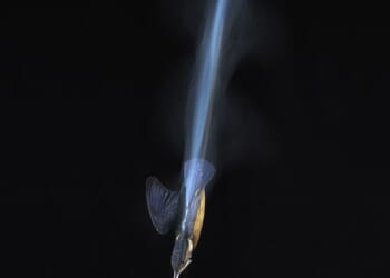 The striking image, produced without photoshop or artificial intelligence, shows the bird diving into a pond at night in Kirkcudbright, Dumfries and Galloway