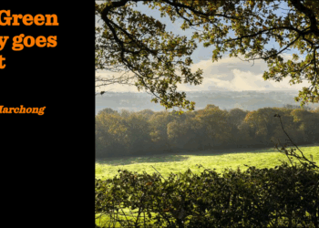 The Green lobby goes quiet | Joanna Marchong