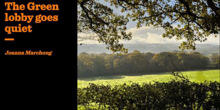 The Green lobby goes quiet | Joanna Marchong