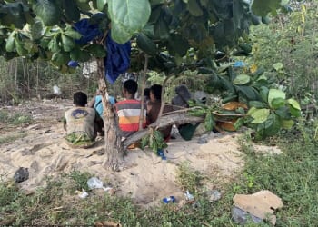 As well as fruit and whatever passing boats bring them, migrants survive on fish they catch (file image)