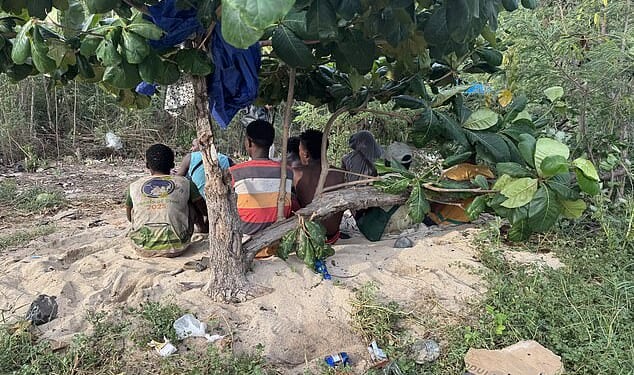 As well as fruit and whatever passing boats bring them, migrants survive on fish they catch (file image)