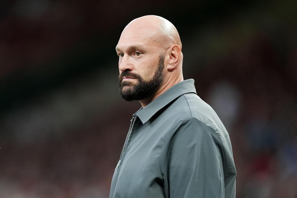 NINTCHDBPICT001046398965