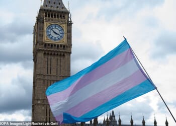 Socially liberal Green members are angling to lift a ban stopping trans women competing in women’s sporting events, arguing it fuels ‘misogynoir’ – a particular kind of sexism faced by black women – and stems from ‘historical colonial and Eurocentric attitudes’