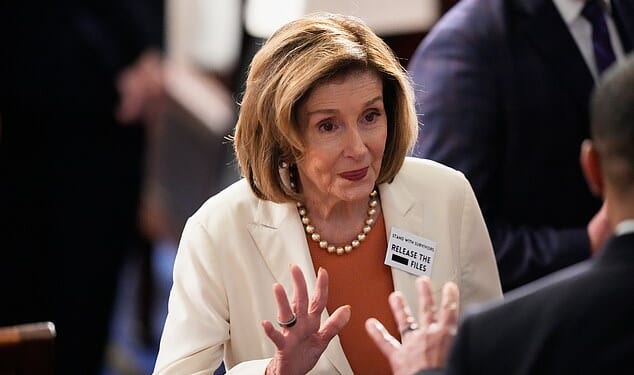 Pelosi was present at the State of the Union wearing a pin that calls on Trump to release the Jeffrey Epstein files