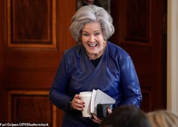 One White House insider tells the Daily Mail that White House Chief of Staff Susie Wiles is 'least likely to go anywhere'