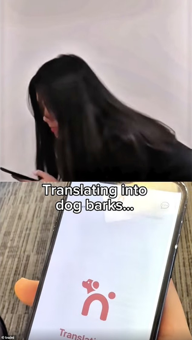 Videos posted on the company's website show the gadget in action