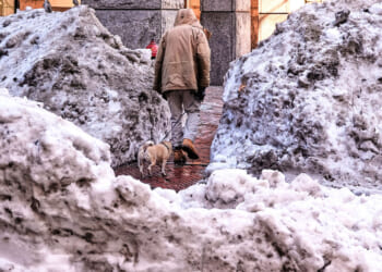 Where does Boston put all its snow? I hiked 7 miles through the city to find out.