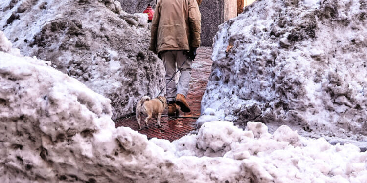 Where does Boston put all its snow? I hiked 7 miles through the city to find out.