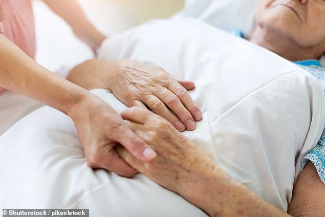 Grabbe returned from Europe to assume responsibility for her mom's hospice care in Cape Cod (stock photo)