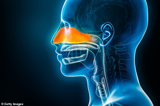 Sinusitis is incredibly common, the second most prevalent infectious disease seen by GPs