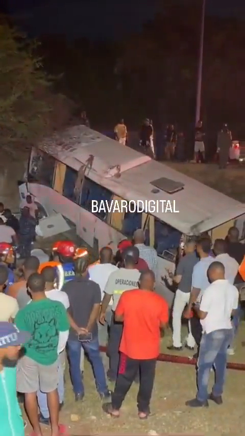 NINTCHDBPICT001063341881