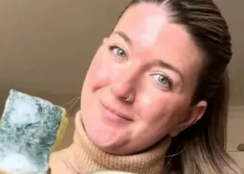 Vet nurse warns owners about common mistake that’s ‘making dogs poorly’ as people admit they ‘never’ follow her advice