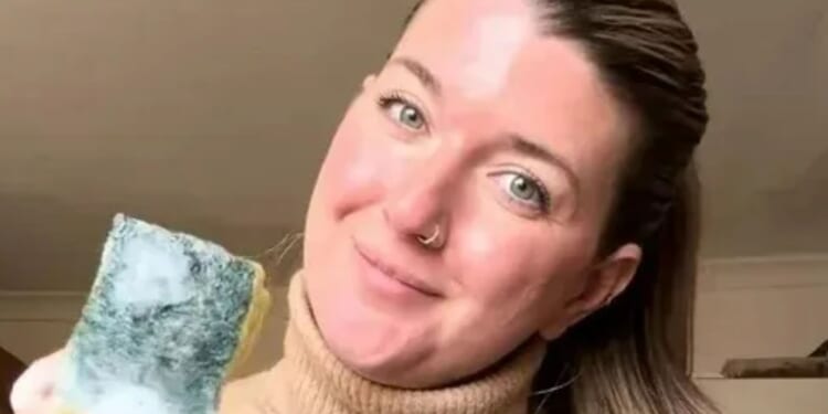 Vet nurse warns owners about common mistake that’s ‘making dogs poorly’ as people admit they ‘never’ follow her advice