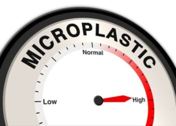 Microplastics have quietly made their way into every corner of our environment -- and every corner of the human body.