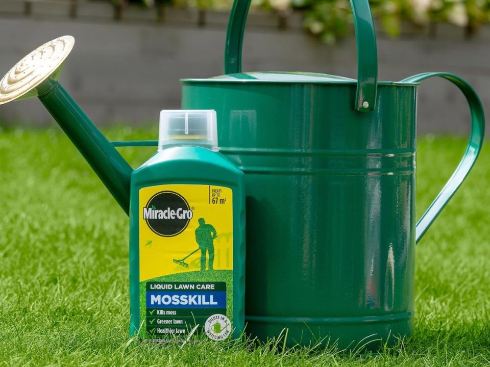 Miracle-Gro Mosskill liquid lawn care and a green watering can on a lawn.