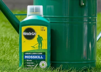 Moss-killing solution reduced to £8 leaves grass ‘greener and healthier’ ahead of spring