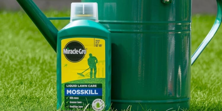 Moss-killing solution reduced to £8 leaves grass ‘greener and healthier’ ahead of spring