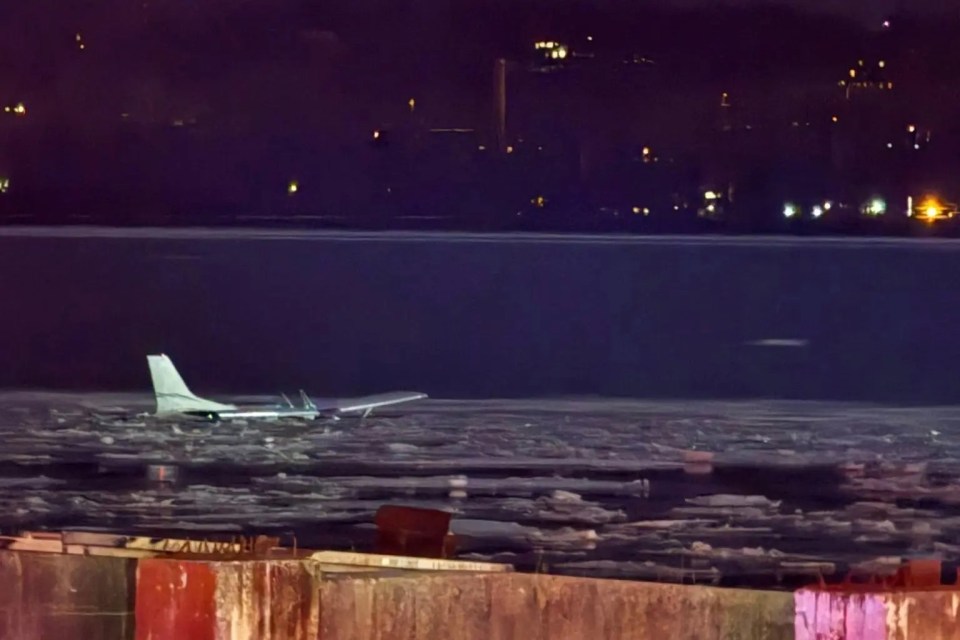 NINTCHDBPICT001063556221