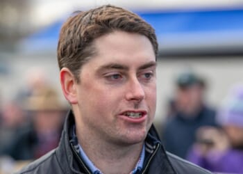 Major Cheltenham Festival gamble set to sting punters with plot horse J'Arrive De L'Est poised to skip race