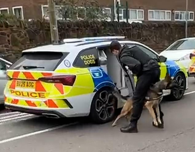A police dog was pictured being taken out of a response car