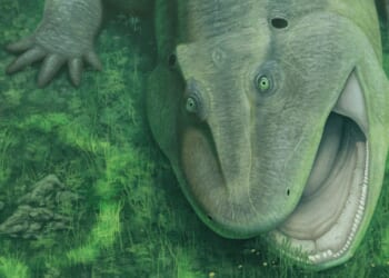 Ugly ancient sea beast with a 'really weird' twisted jaw and sideways-facing teeth discovered by stunned scientists