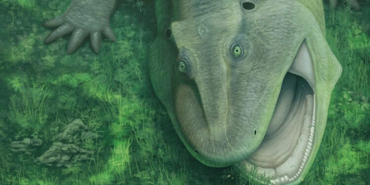 Ugly ancient sea beast with a 'really weird' twisted jaw and sideways-facing teeth discovered by stunned scientists