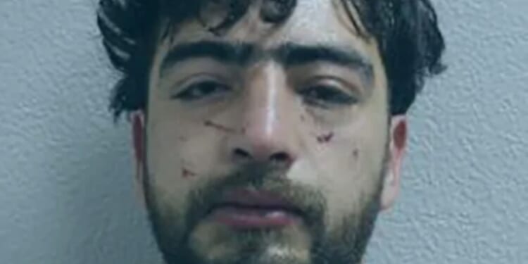 Afghan hotel migrant who sexually assaulted woman in street set to be deported after two-year sentence