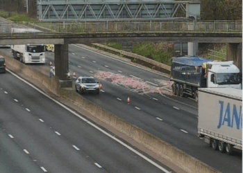 M6 shut after lorry spills meat across carriageway as drivers stuck in huge 60-minute queues