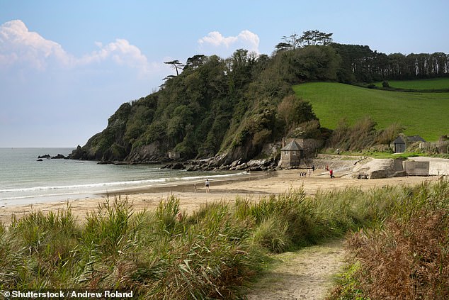 The beach and dramatic landscape at Mothecombe, Devon, England