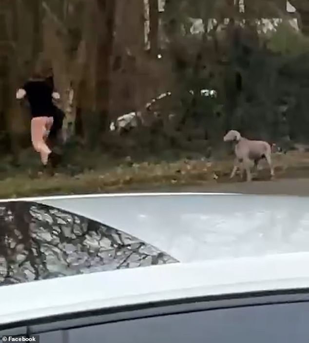 Neighbours told the Mail the clip went viral on social media almost immediately. One quipped: 'Only in Bolton'