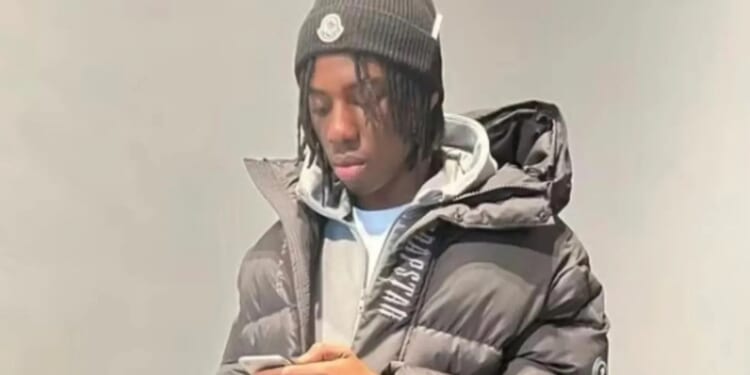 Man, 25, stabbed to death in London named by police after being killed in 'fight between group of men' as two arrested