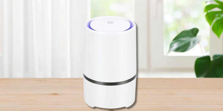 ‘Amazing for hayfever’ rave allergy sufferers about £19 gadget from Amazon