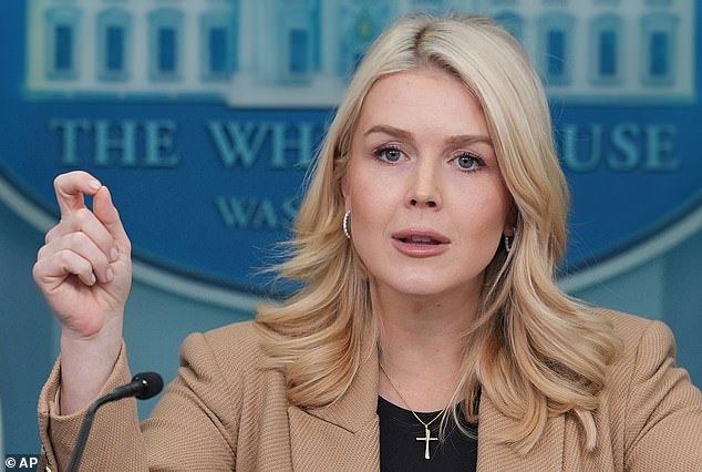 White House press secretary Karoline Leavitt said in January that President Trump was '100 percent' satisfied with Noem's handling of the Minneapolis crisis