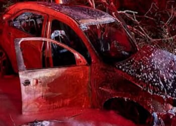 Moment cop pulls injured driver away from his burning car through a bush after crash that left his motor in flames