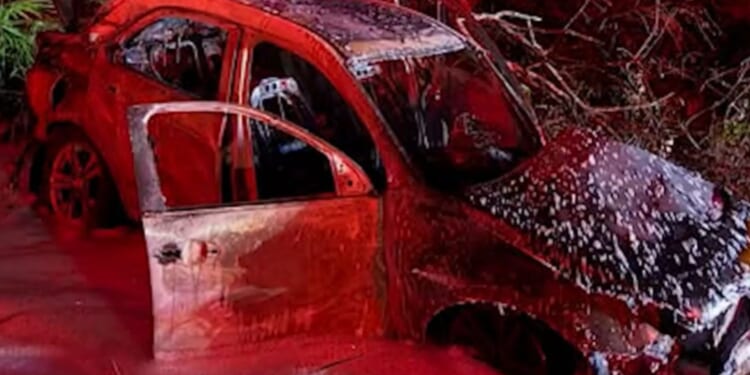 Moment cop pulls injured driver away from his burning car through a bush after crash that left his motor in flames