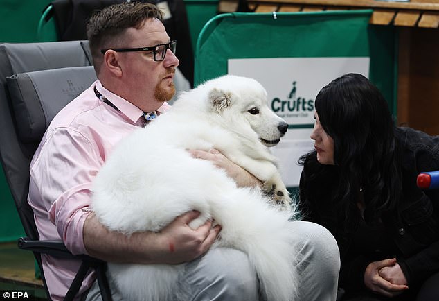 Owners sit with their dogs waiting for the show to begin. The annual event is organised by the Kennel Club