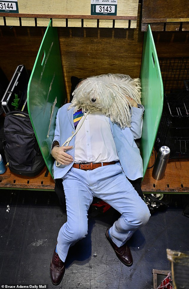 Pete Anderton asleep with his Hungarian Puli Bitch 'Tilly' who have travelled from Colchester, Essex
