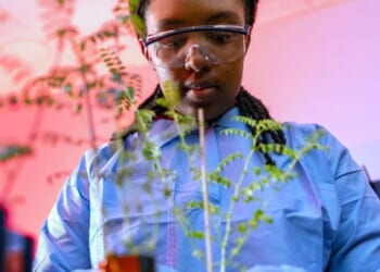 Major breakthrough as scientists successfully grow chickpeas in moon soil, paving way for space farming