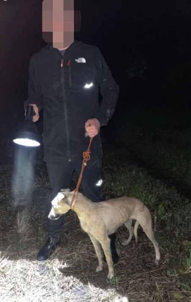 Pictured: The youngest of the three rapists in a photograph posted on his TikTok account just two weeks prior to the rape which showed him out late at night hunting rabbits and hares with his lurcher dog, a practice known as ‘lamping’ which is a criminal offence